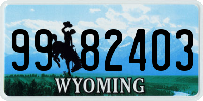 WY license plate 9982403