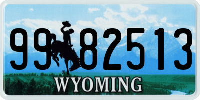 WY license plate 9982513