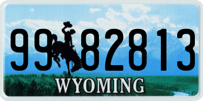 WY license plate 9982813