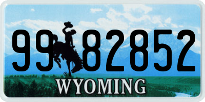 WY license plate 9982852