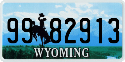 WY license plate 9982913