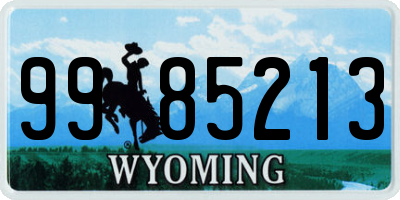 WY license plate 9985213