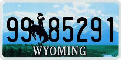 WY license plate 9985291