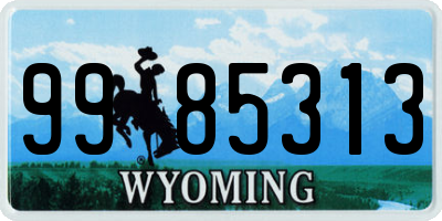 WY license plate 9985313