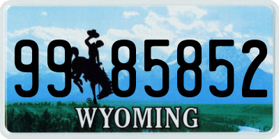 WY license plate 9985852