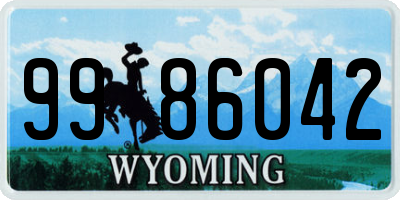 WY license plate 9986042