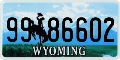 WY license plate 9986602