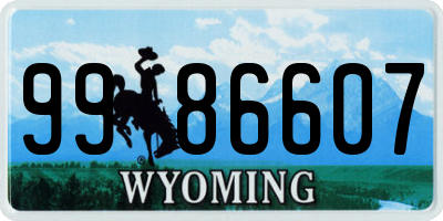 WY license plate 9986607