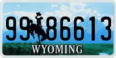 WY license plate 9986613
