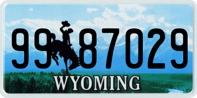 WY license plate 9987029