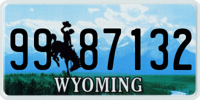 WY license plate 9987132