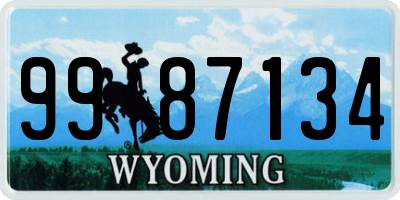 WY license plate 9987134