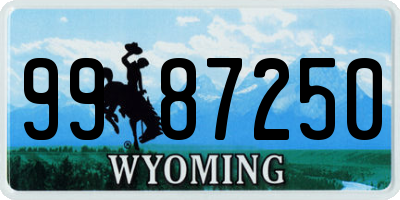 WY license plate 9987250