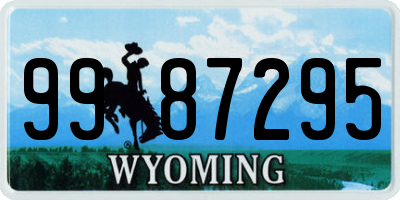 WY license plate 9987295