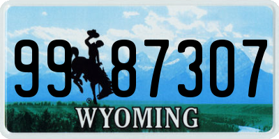 WY license plate 9987307