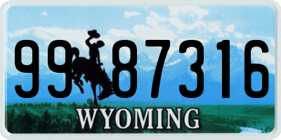 WY license plate 9987316