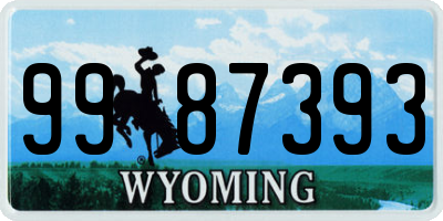 WY license plate 9987393