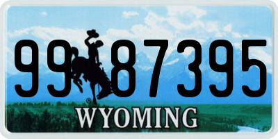 WY license plate 9987395