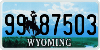 WY license plate 9987503