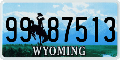 WY license plate 9987513