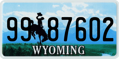 WY license plate 9987602
