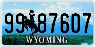 WY license plate 9987607