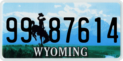 WY license plate 9987614