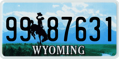 WY license plate 9987631
