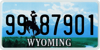 WY license plate 9987901