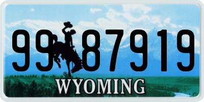 WY license plate 9987919