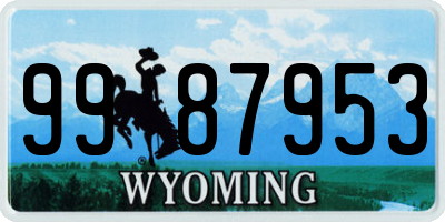 WY license plate 9987953