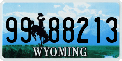 WY license plate 9988213