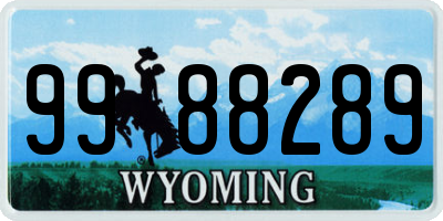 WY license plate 9988289