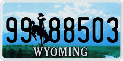 WY license plate 9988503