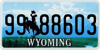 WY license plate 9988603