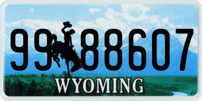 WY license plate 9988607