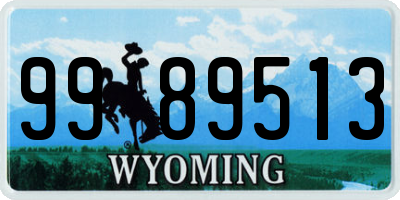 WY license plate 9989513