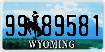 WY license plate 9989581