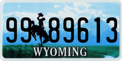 WY license plate 9989613