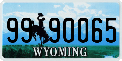 WY license plate 9990065