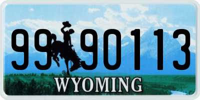 WY license plate 9990113