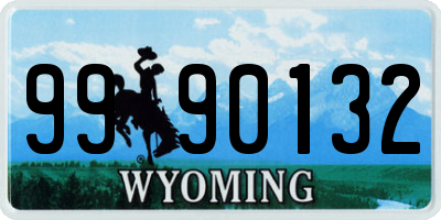 WY license plate 9990132