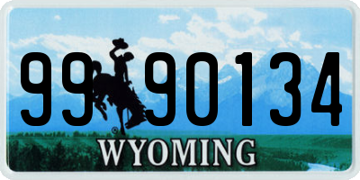 WY license plate 9990134