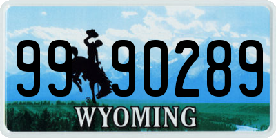 WY license plate 9990289