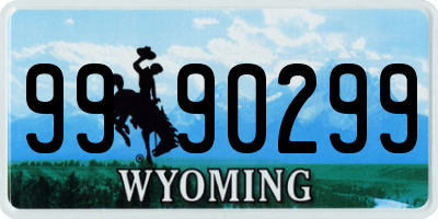 WY license plate 9990299