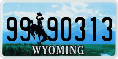 WY license plate 9990313