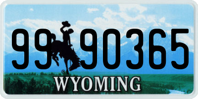 WY license plate 9990365