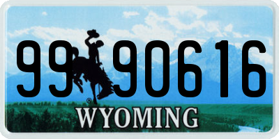 WY license plate 9990616
