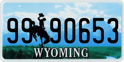 WY license plate 9990653