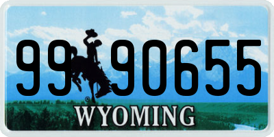 WY license plate 9990655